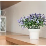 Apartament M&z *
