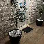 Apartament M&z