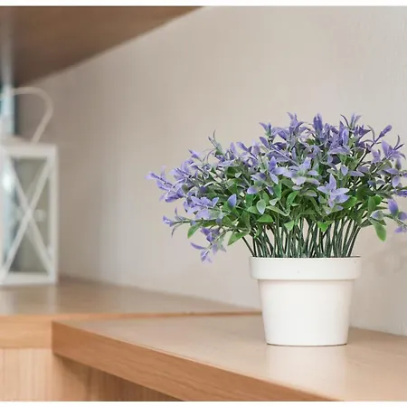 Apartment M&z *
