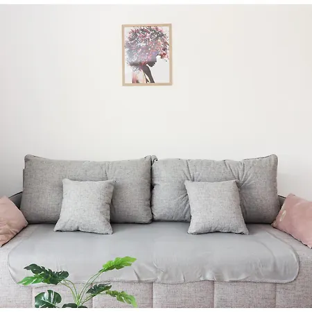 Apartment M&z