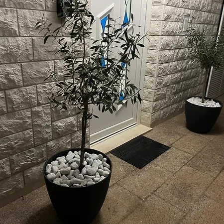 Apartmán M&z